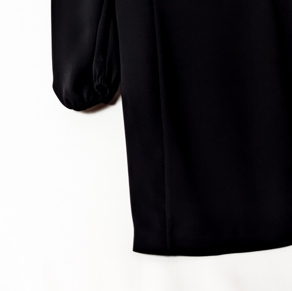 WILFRED Novella Dress Mini Bustier  Long Sleeve Black 2 Aritzia - Picture 8 of 15
